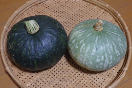 【自然栽培】カボチャ（5kg）