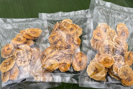 美味しさと栄養を凝縮！！完熟木更津ファーム産バナナの贅沢ドライフルーツ【農薬不使用木更津産バナナのドライフルーツ：20g】