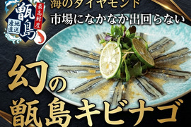 🍣超大手スシロー御用達🍣市場になかなか出回らない鮮魚『幻の甑島キビナゴ』業界初パウダースノー冷凍で最高鮮度本格刺し盛り🐟20代女性漁師が手掛ける甑島ブランド【4月上旬予約】