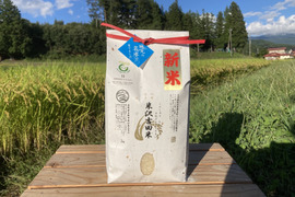 【令和6年新米】「長野県産　五百川」信州茅野 米沢吉田米　精米2㎏
