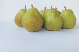 【山形県産】西洋梨「ラフランス」訳あり 5kg（12～18玉）
