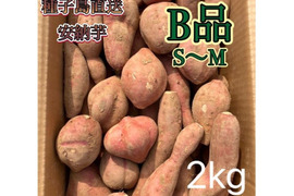 【絶品】種子島産安納芋 B品 小〜中サイズ 2kg(箱別)