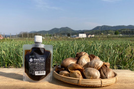 【新商品！】奇跡のブラックフルーツペースト 100g×３本【農薬不使用】青森県産黒にんにく【メール便】