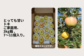 ご予約受付中！青森県産 りんご トキ （ご家庭用・3kg箱 7～11玉）