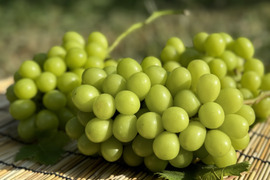 【クール便】山梨県産ぶどう【シャインマスカット】3kg〜3.4kg前後(5〜7房) 種なし