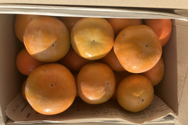 ☆昔ながらの柿(約１５玉前後)☆