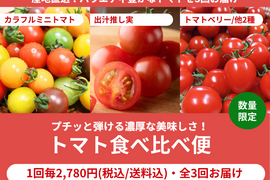 とまと購入ページ フルーツトマト朱々ご注文｜（株）サニープレイスファーム