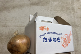 【父の日のプレゼントに】淡路島産「ホンマもん」新玉ねぎ 大玉 ほぼ秀品 3kg