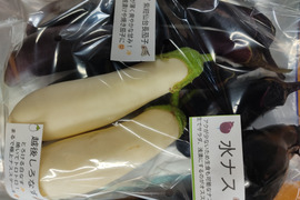🍆【茄子コレ第4弾】焼けばとろ〜り！加熱でごちそうになるナス2〜3種食べ比べBOX 約1kg｜朝採れ直送｜農薬・化成肥料不使用✨🍆