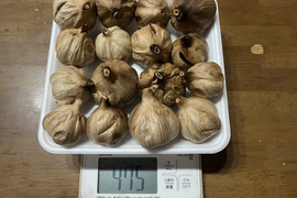16 自然栽培　黒にんにく 人気　たっぷり16個
令和8年度新物　食べやすくて美味しい