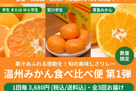 【限定300セット】温州みかん食べ比べ便第1弾※送料込※（食べチョク公式）