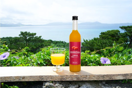 贅熟 沖縄県産マンゴー果汁飲料(50%)