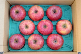 信州産葉とらずサンふじ3kg8〜11個入り　信州古畠りんご園直送　贈り物にもご家庭用にもおすすめ