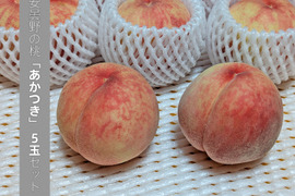 【安曇野産の桃】「あかつき」５玉セット（約1.2kg）