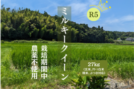 【新米】R5:ミルキークイーン玄米27kg（農薬不使用のお米）