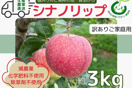 生産農家直送 りんご シナノリップ 訳あり ご家庭用 3kg 長野県産 信州りんご発祥の地 長沼りんご 産地直送 除草剤不使用 人にやさしく環境にもやさしい