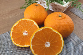 自慢の不知火 約5kg【訳あり品、ご家庭用】