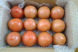 （お試し）有機質ボカシ肥料で作った完熟トマト　1.5kg　12玉入り