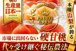 🍑日テレニノさん話題沸騰🍑やみつきリピーター続出！『硬甘桃』追熟カスタマイズというこれからの新常識桃【朝どれ】約2キロ【お中元ギフト】🍑8月下旬予約🍑