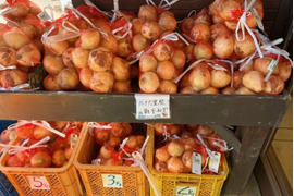 新玉ねぎ