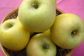 どっちがお好き第2弾！！完熟サンふじ＆シナノゴールドのアソート 　 訳あり家庭専用お買い得コース　当園人気ナンバー2企画
　お徳用3キロコース　9個から11個入り