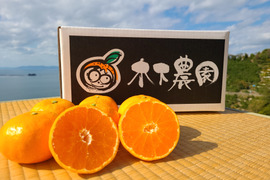 ★注文翌日発送★木下さんちのみかん『良品5キロ』