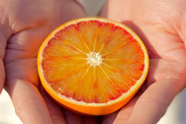 【甘さと爽やかな酸味】ブラッドオレンジ 5kg 【希少柑橘】