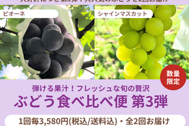 【食べチョク旬の食べ比べ便】シャインマスカット800g〜900g(2〜3房)