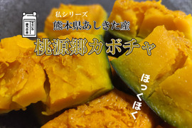 熊本県あしきた産　完熟ホクホク！桃源郷カボチャ【10キロ　５～10玉入り】