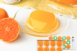 【敬老の日ギフト】蔵出しみかんゼリー8個ギフト