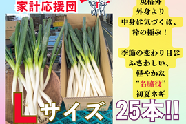 外身より中身に気づくは、粋の極み！規格外　Ｌサイズ（25本）