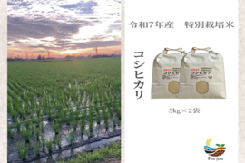 R7年産特別栽培米　   コシヒカリ　10㎏