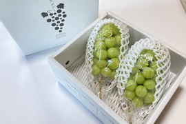 葡萄「シャインマスカット」　700g 2房入り