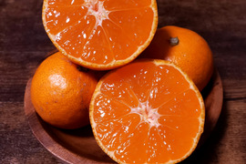 【ご家庭用 Sサイズ以下小玉3kg】甘味凝縮 有田みかん