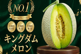 👑シーズンわずか1%希少なキングダムメロン👑海外セレブが指名してまで食べたいメロン王国が誇る渥美半島ブランド最高級最高峰【贈答用】【お中元ギフト】【7月下旬予約】
