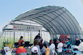 音楽を聴いて育ったプチぷよ🍅一粒万倍 お試しBOX【1キロ】