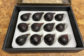 希少な黒いちじく「イスキアブラック」