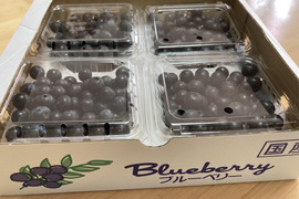 佐賀県　お中元・お見舞いにピッタリ　大粒ブリーベリー５００ｇ