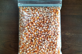 【自然栽培】甲州とうもろこしの粒　500g