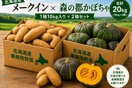 【予約販売・業務用】北海道産 ほっくほくメークインLサイズ10kg・ねっちょり甘い！都かぼちゃ10㎏（5～7玉）セット