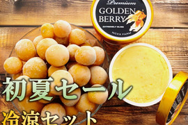 🍃初夏セール🍃冷たくて甘い夏のごほうび✨果実の美味しさを味わえるゴールデンベリー冷凍セット（プレミアムアイス2個／そのまま食べられるフローズンゴールデンベリー300g入り）