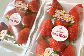 🍓✨️テレビで紹介された！完熟とちおとめ　4パック