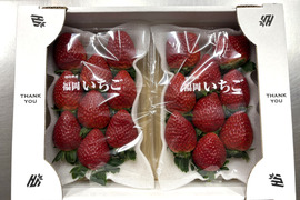 【即日発送】おいCベリー✖️やよいひめ食べ比べ4パックセット