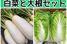 白菜と大根コラボセット‼️白菜と大根の美味しい季節になりました。みずみずしいお野菜‼️120サイズの箱でお届けします。