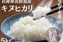 【令和6年新米】兵庫県淡路島産キヌヒカリ15キロ(低農薬白米)農家直送 楽天市場】☆2024年産☆兵庫県淡路島産 キヌヒカリ 2kg【淡路米