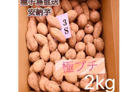 【絶品】大人気！安納芋 極プチサイズ 2kg(箱別)