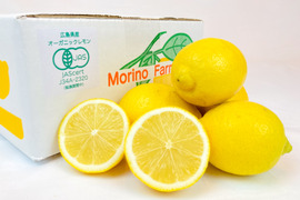 【レモン島からお届け♪】有機JAS認証！皮まで♪オーガニックレモン箱込20kg