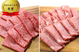 【夏ギフト】【初回限定BOX】【食べ比べセット★赤身／カルビ】佐賀牛★黒いダイヤモンド和牛★九州直送便【父の日ギフト】にも♪