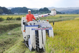 【2021年産　玄米】ふっくら艶やか『ひとめぼれ（10kg）』トピカ農産　福島県南相馬市