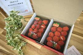 【2箱セット】「あまりん」「べにたま」贅沢ないちご食べ比べ♪